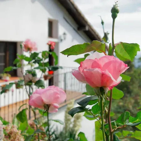 Casa Rural Arbillas Tatil Evi Arenas de San Pedro