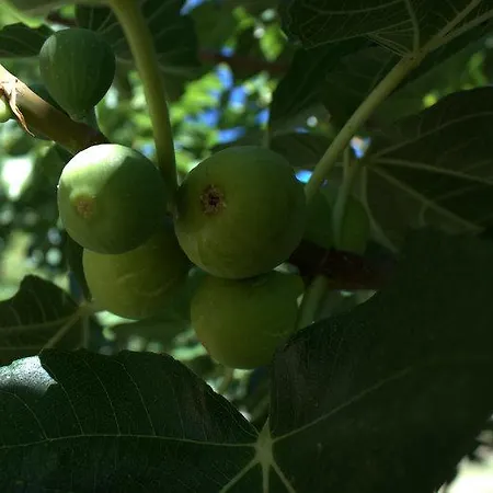 Casa Rural Arbillas Arenas de San Pedro