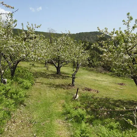 Tatil Evi Casa Rural Arbillas *
