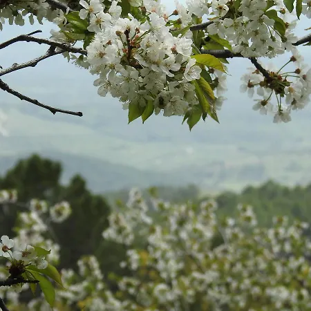 Casas Arbillas * Arenas de San Pedro