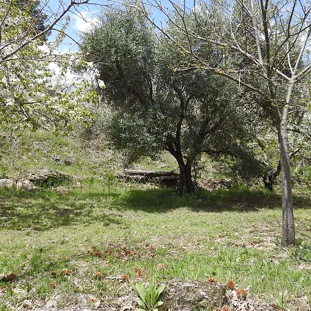 Casas Arbillas * Arenas de San Pedro