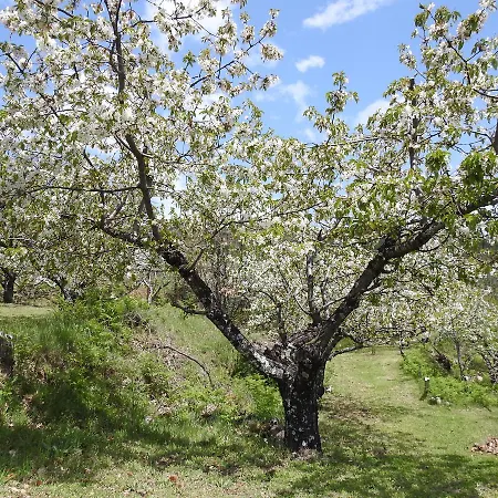 Casa Rural Arbillas Arenas de San Pedro