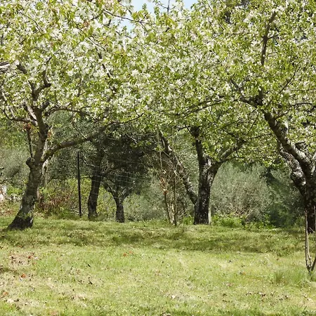 Casas Arbillas