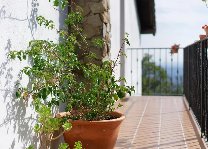 펜션 Casa Rural Arbillas 아레나스 데 산 페드로