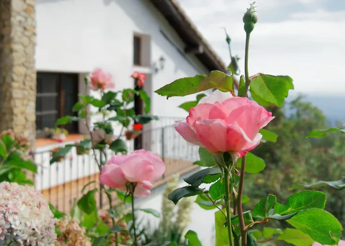 Casa Rural Arbillas 아레나스 데 산 페드로